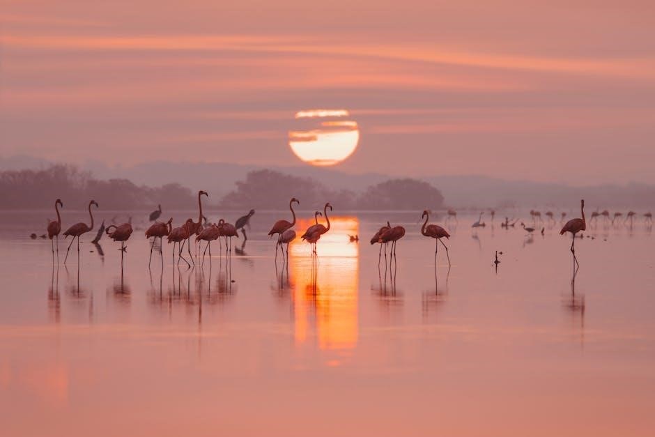 birds mexico field guide