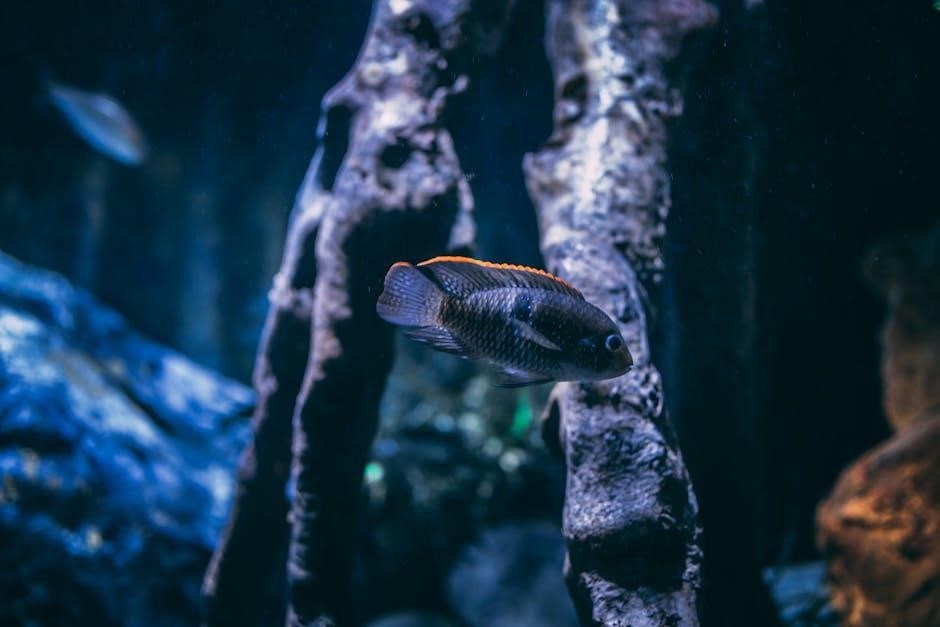 planted fish tank guide