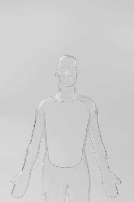 anatomy of the spirit pdf
