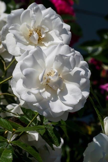 5 dysfunctions of a team pdf