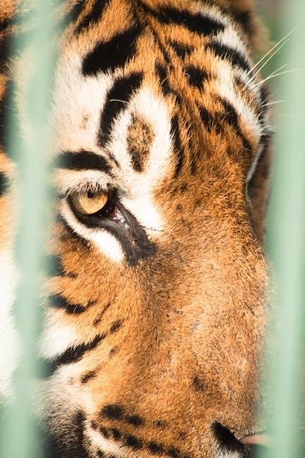 the lady or the tiger pdf