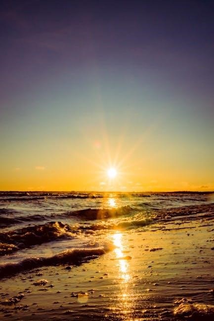 the sun does shine pdf